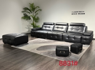 8831#沙发